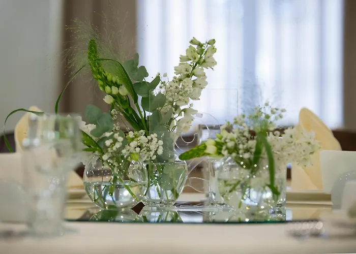 Grand Otrada & Odessa