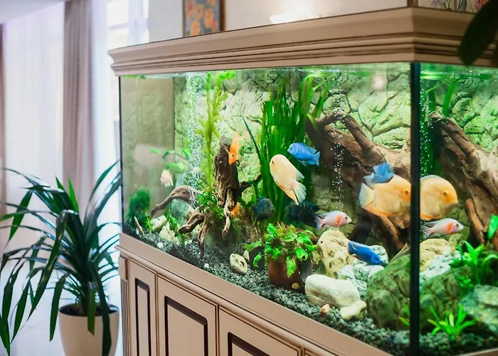 Grand Otrada & Oděsa