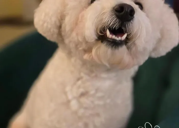 Grand Otrada & Otel Odessa