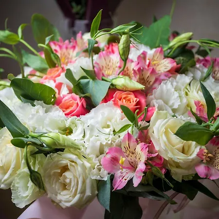 Grand Otrada & Odesa